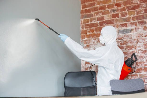 Best Environmental Consulting for Mold Prevention  in Indian Lake, MO