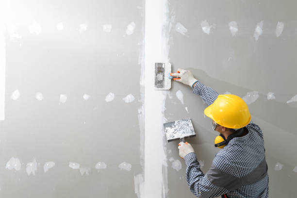 Best Residential Mold Inspection & Testing  in Indian Lake, MO