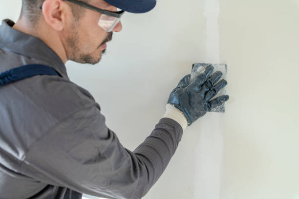 Best Emergency Mold Remediation  in Indian Lake, MO