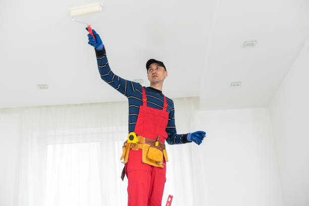 Best Residential Mold Inspection & Testing  in Indian Lake, MO