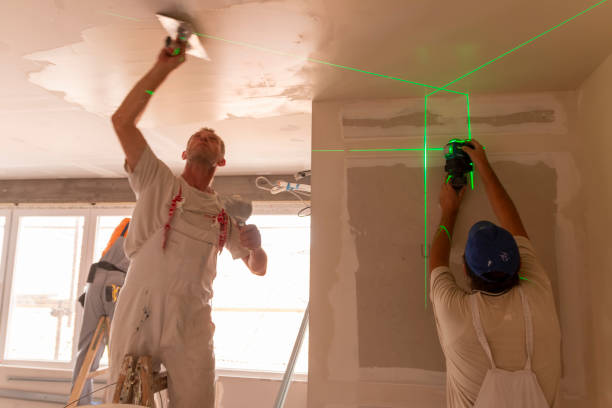 Best Crawl Space Mold Remediation  in Indian Lake, MO